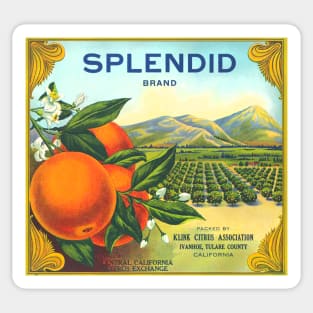 Splendid Brand Oranges Crate Label Sticker